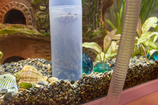 Homemade Canister filter for aquarium