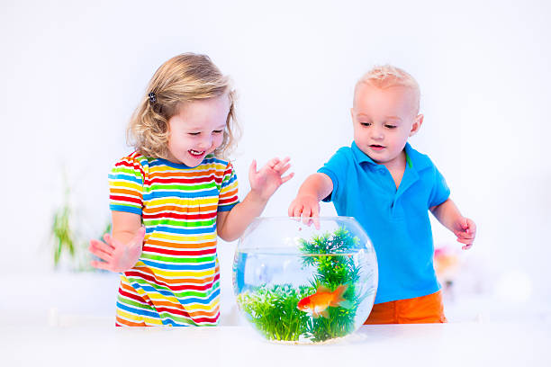 Fake fish tanks for kids