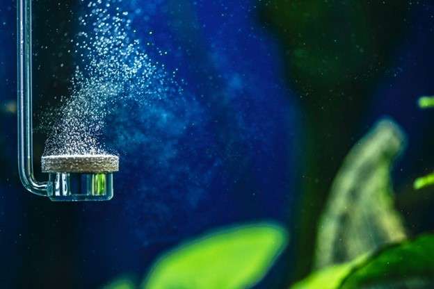 How Do Aquarium Air Pumps Work