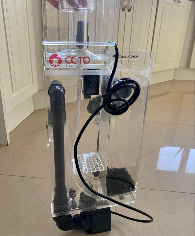Are Protein Skimmers Necessary For Saltwater Aquariums